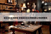 麻豆文化影视传媒 安徽麻豆文化传媒有限公司招聘要求