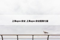 上海apec会议 上海apec会议是第几届