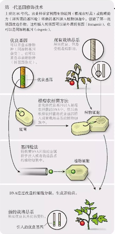 食品饮料包装将迎来大换血“零添加、非转基因”等词语禁止标注