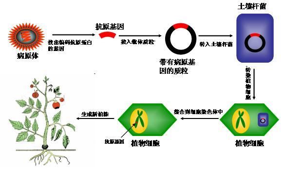 食品饮料包装将迎来大换血“零添加、非转基因”等词语禁止标注