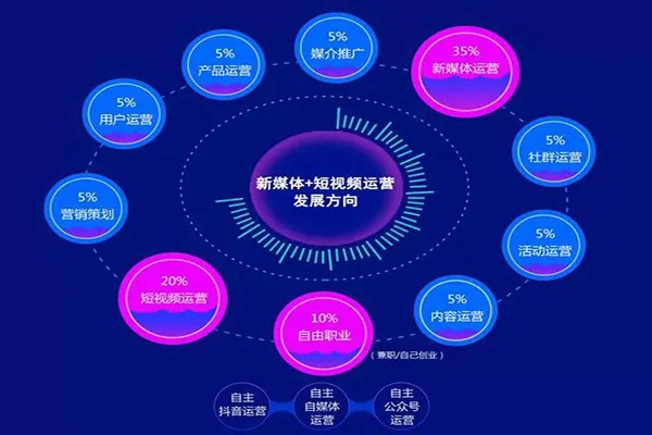 新媒体运营师案例分析（新媒体运营师案例分析题）