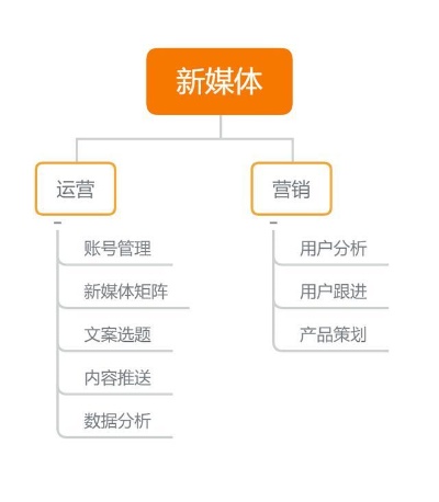 网络营销SEO新媒体运营？网络营销seo新媒体运营？