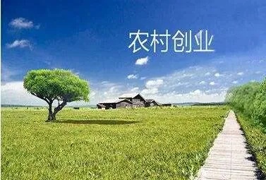 农业创业项目及政策_农业创业有哪些项目