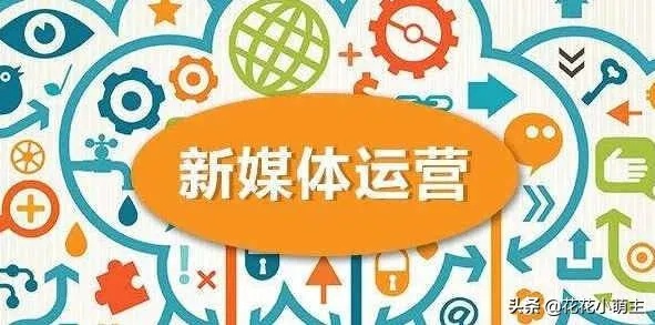 新媒体账号运营传播教案（新媒体用户运营案例分析）