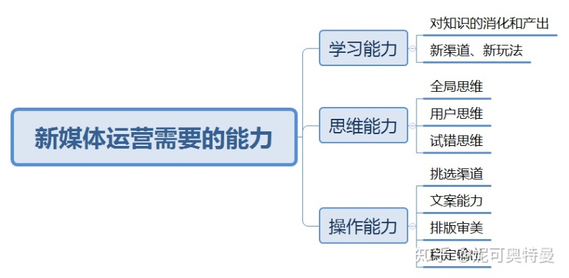 新媒体运营需要有什么素质（新媒体运营需要具备什么能力和素质）