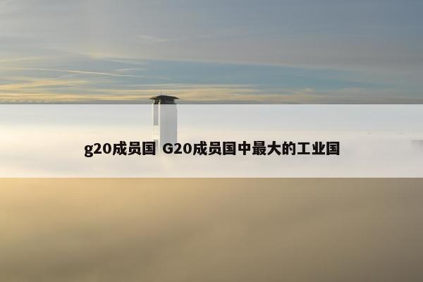g20成员国 G20成员国中最大的工业国